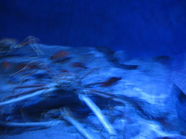 IMG_6593.JPG