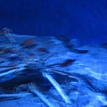 IMG_6593.JPG