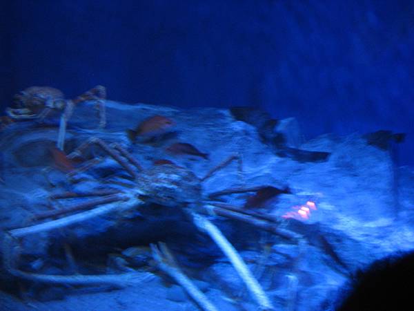 IMG_6594.JPG