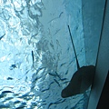 IMG_6599.JPG