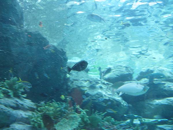 IMG_6600.JPG