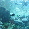 IMG_6600.JPG
