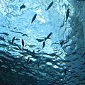 IMG_6602.JPG