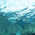 IMG_6603.JPG