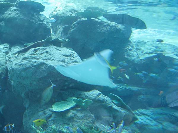 IMG_6604.JPG