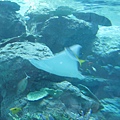 IMG_6604.JPG