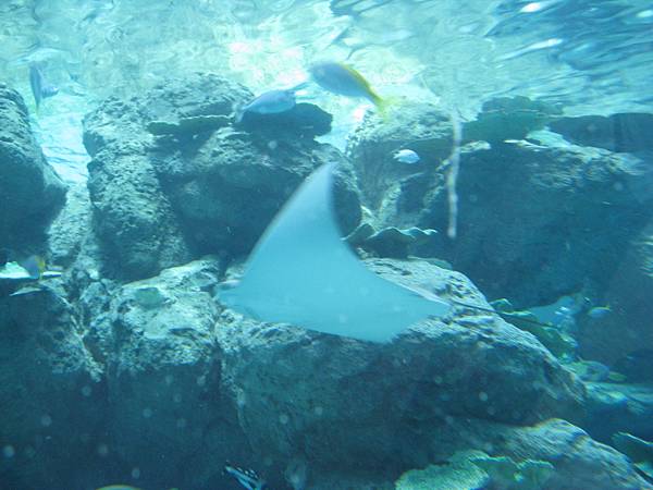IMG_6605.JPG