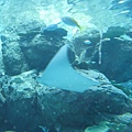 IMG_6605.JPG