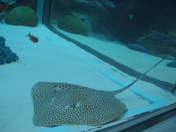 IMG_6606.JPG
