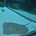 IMG_6606.JPG
