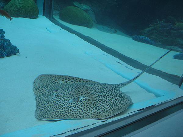 IMG_6607.JPG