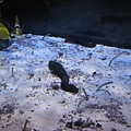 IMG_6610.JPG