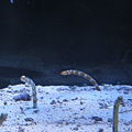 IMG_6611.JPG
