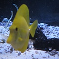 IMG_6612.JPG