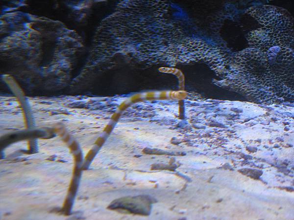 IMG_6614.JPG