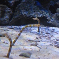 IMG_6614.JPG