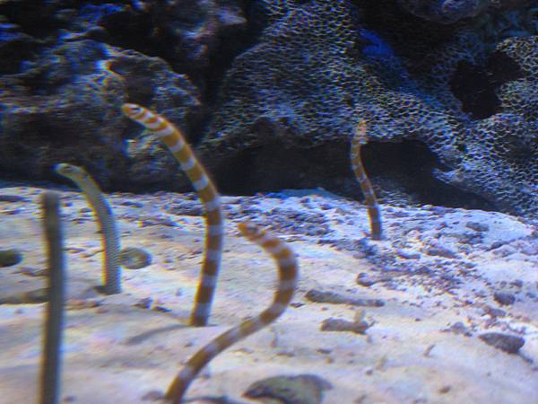 IMG_6615.JPG