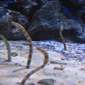 IMG_6615.JPG
