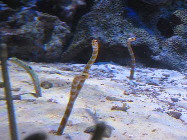 IMG_6616.JPG