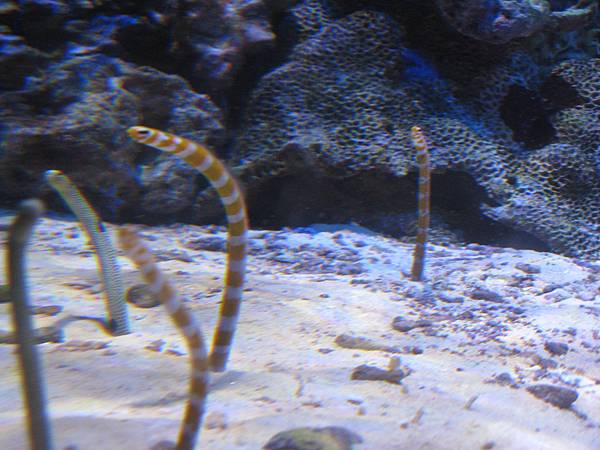 IMG_6617.JPG