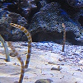 IMG_6617.JPG