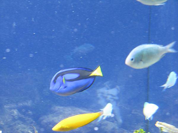 IMG_6618.JPG