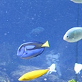 IMG_6618.JPG
