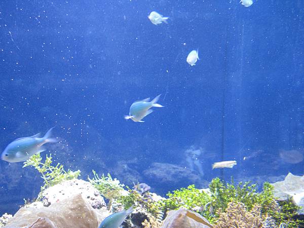 IMG_6620.JPG
