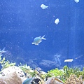 IMG_6620.JPG