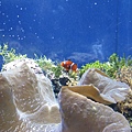 IMG_6621.JPG