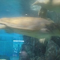 IMG_6623.JPG