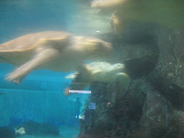 IMG_6622.JPG