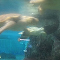 IMG_6622.JPG