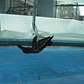 IMG_6626.JPG