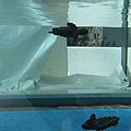 IMG_6627.JPG