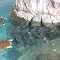 IMG_6628.JPG