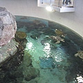 IMG_6629.JPG