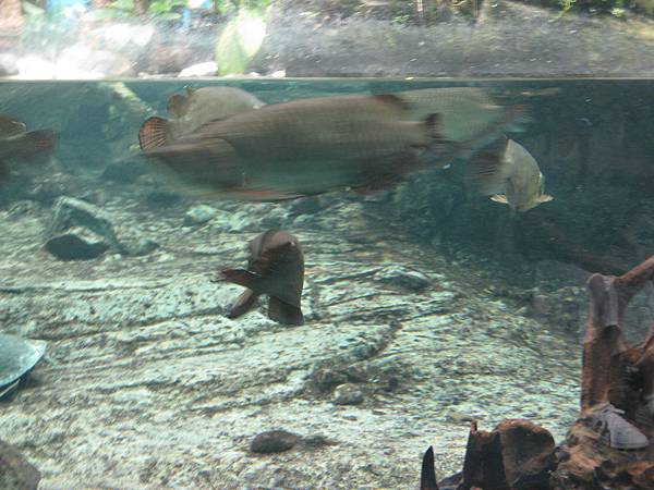 IMG_6631.JPG
