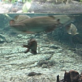 IMG_6631.JPG