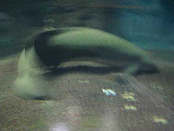 IMG_6633.JPG