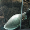 IMG_6632.JPG