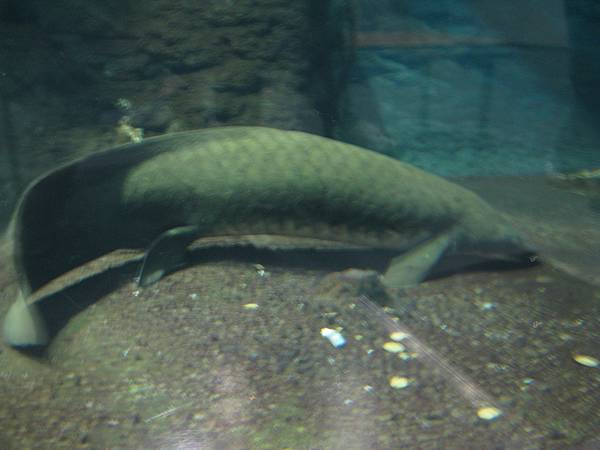 IMG_6634.JPG