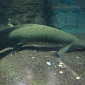 IMG_6634.JPG
