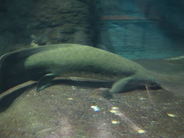 IMG_6635.JPG