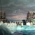 IMG_6638.JPG