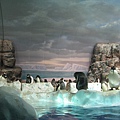 IMG_6639.JPG
