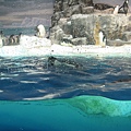 IMG_6640.JPG