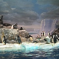 IMG_6641.JPG