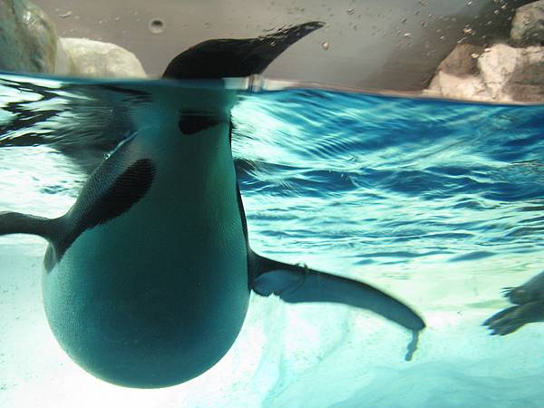 IMG_6645.JPG