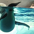 IMG_6645.JPG